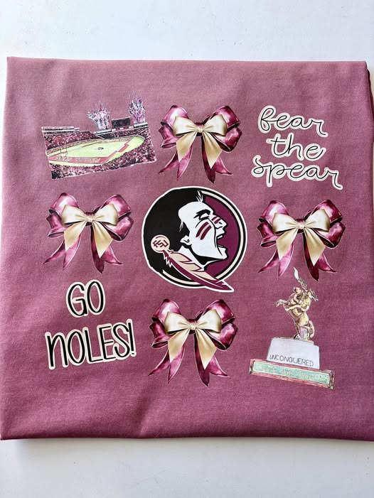 Coquette Preppy Florida State University